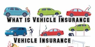 What is Vehicle Insurance - How Important is It for You