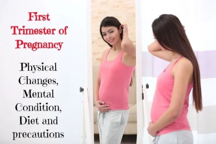 First Trimester of Pregnancy: Physical Changes, Diet and Precautions