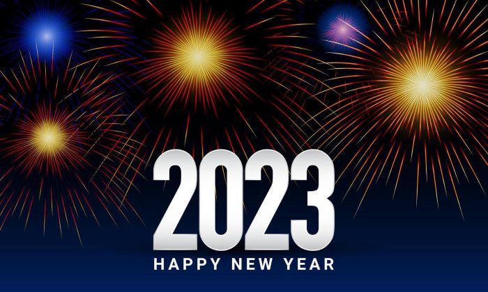 Tips to Celebrate New Year | Happy New Year 2023