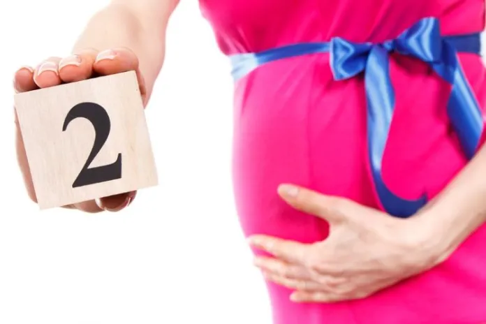 2nd Month of Pregnancy: Symptoms, Baby Development, Diet and Care