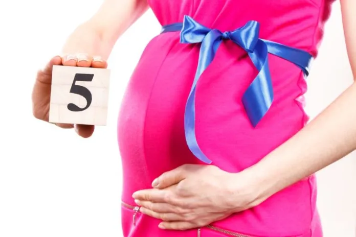 5 Month Pregnancy: Symptoms, Baby Development, Diet and Care