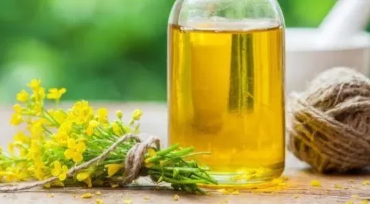 Benefits of Canola Oil and Disadvantages