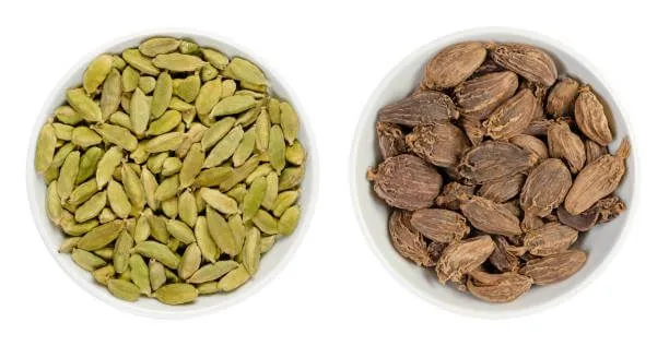 Benefits of Eating Cardamom and Types of Cardamom