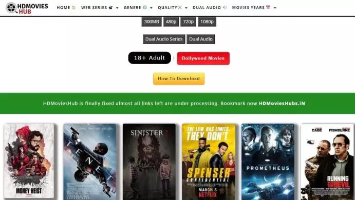 HD Movies Hub 300mb Bollywood movies Download in HD