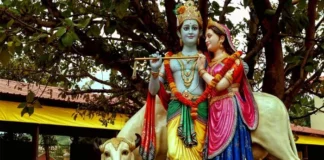 Krishna Famous Temples in India