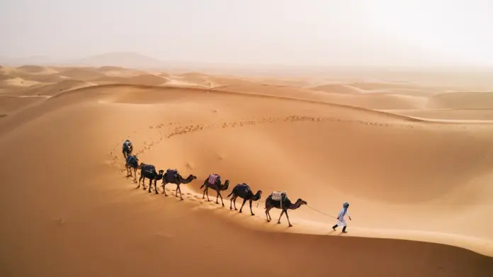Which is the Largest Desert in the World? - List of largest Deserts