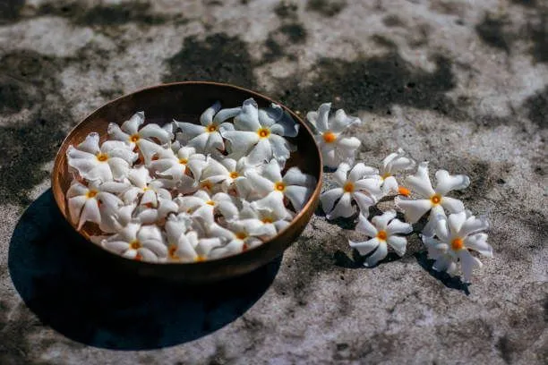 Benefits of Parijat Flower (Harsingar Flower) and Disadvantages