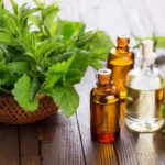 Benefits and Uses of Peppermint oil - Peppermint Oil