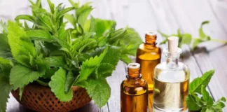 Benefits and Uses of Peppermint oil - Peppermint Oil