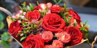 Roses Flower For Money Astro Tips