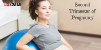 Second Trimester of Pregnancy - Physical Changes, Diet and Precautions