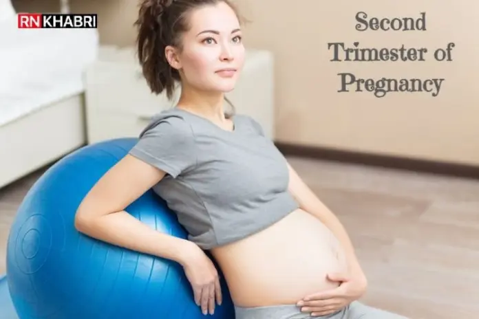 Second Trimester of Pregnancy - Physical Changes, Diet and Precautions