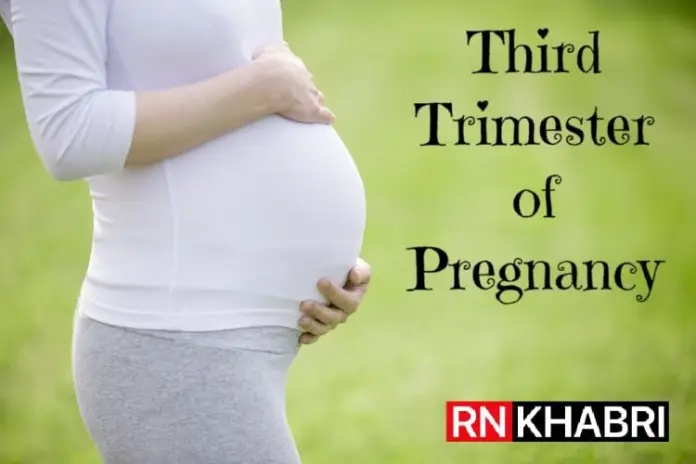 Third Trimester of Pregnancy - Physical Changes, Diet and Precautions