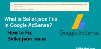 What is Seller.json File - How to fix Google AdSense Seller.json