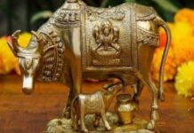 Importance of keeping Feng Shui Cow Idol at Home
