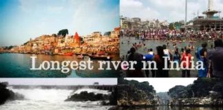 Which is the Longest River in India – Largest River of India