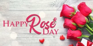 Rose Day Quotes – Best Rose Day Quotes for Your Partner