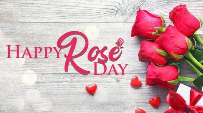 Rose Day Quotes – Best Rose Day Quotes for Your Partner